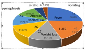 pie chart